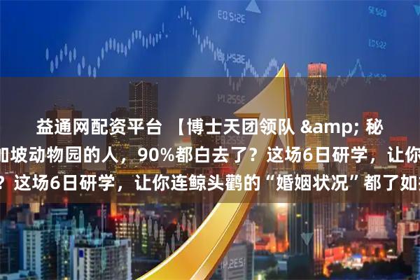 益通网配资平台 【博士天团领队 & 秘境解锁】为什么去过新加坡动物园的人，90%都白去了？这场6日研学，让你连鲸头鹳的“婚姻状况”都了如指掌！