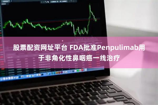 股票配资网址平台 FDA批准Penpulimab用于非角化性鼻咽癌一线治疗